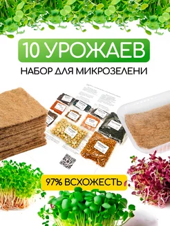 Микрозелень набор для проращивания Forest 237348372 купить за 369 ₽ в интернет-магазине Wildberries