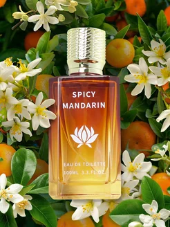 Туалетная вода свежая Spicy Mandarin 100 мл