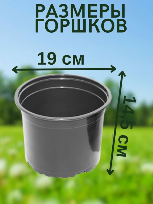 Your home&garden Горшок для рассады, черный, фото 2