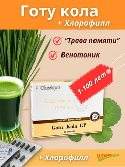 Gotu Kola GP Экстракт готу кола