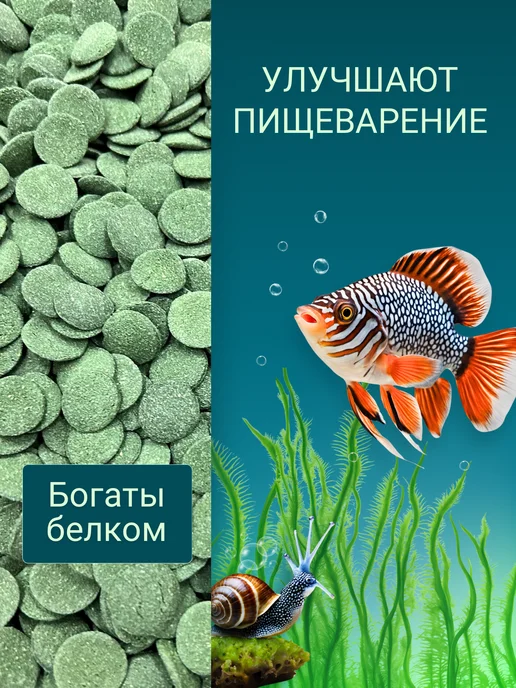 ZooKas Корм для донных рыб сомов таблетки Wafers, вариант, фото 3