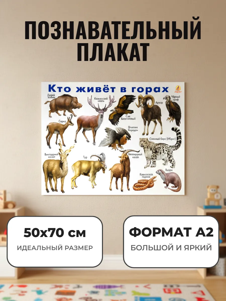 Развивающий плакат А2. Кто живет в горах
