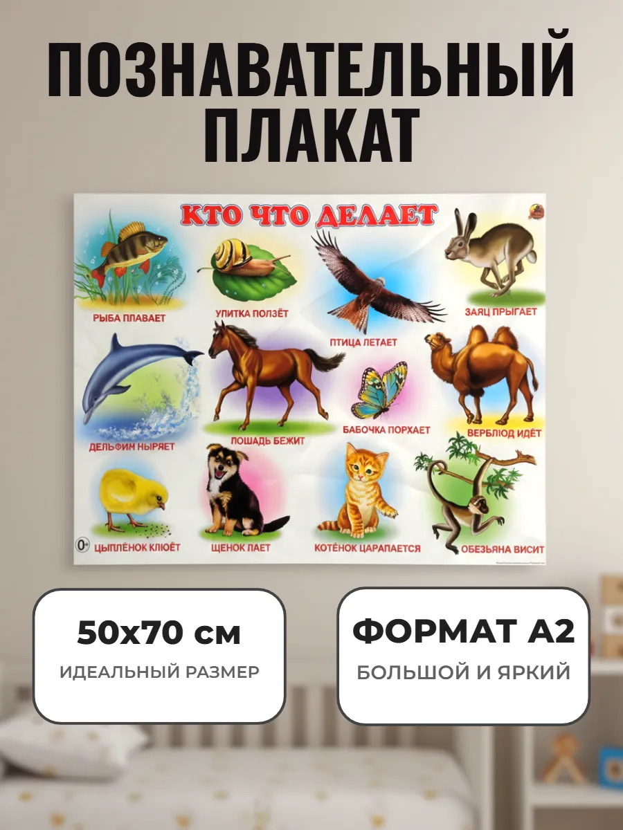Развивающий плакат А2. Кто что делает