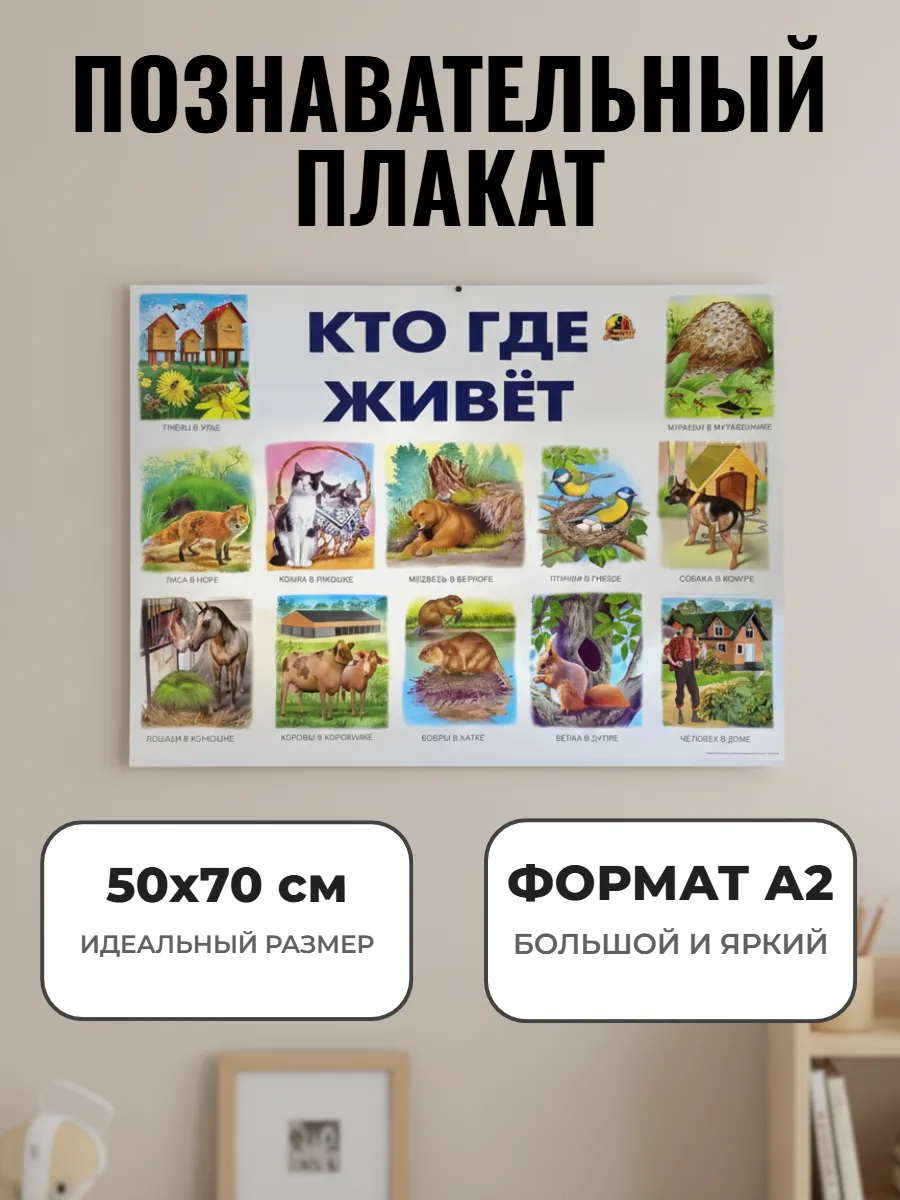 Развивающий плакат А2. Кто где живет