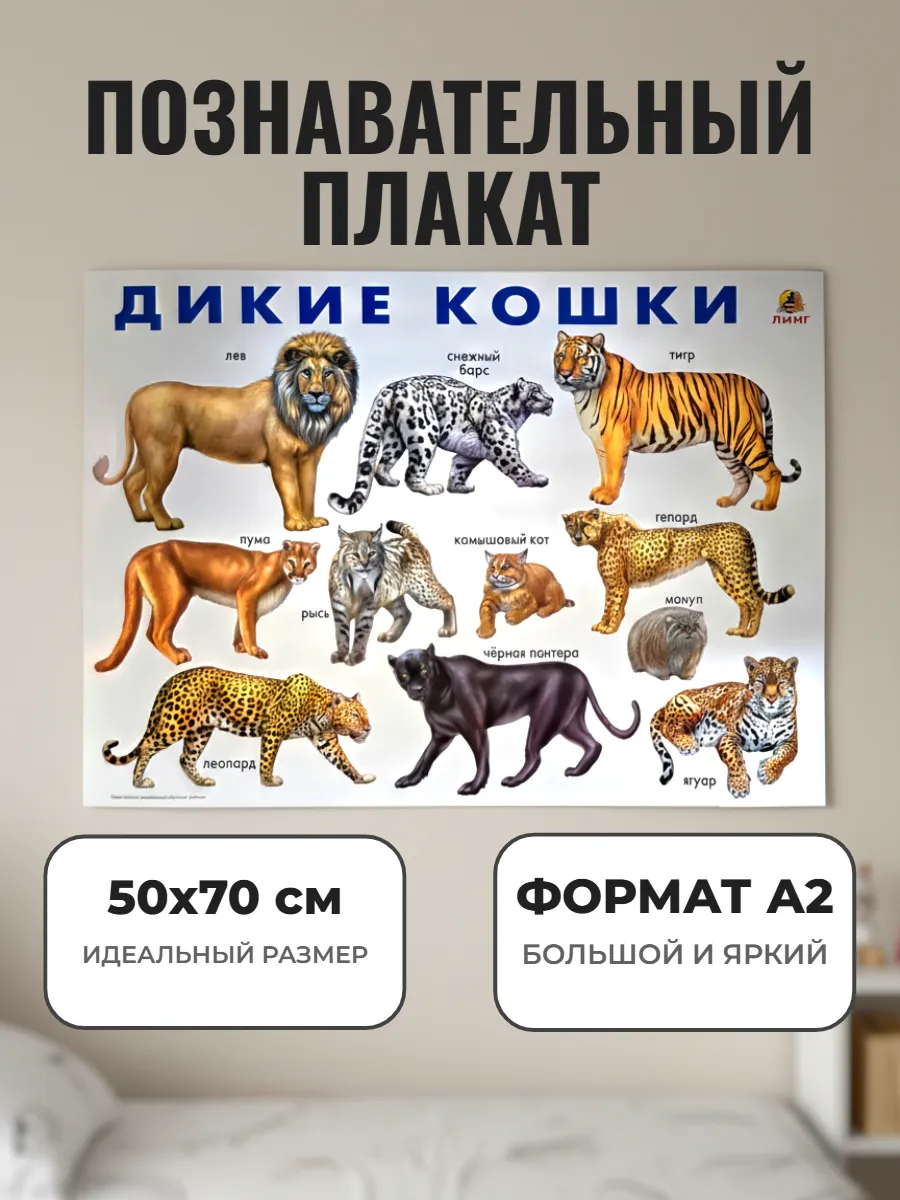 Развивающий плакат А2. Дикие кошки