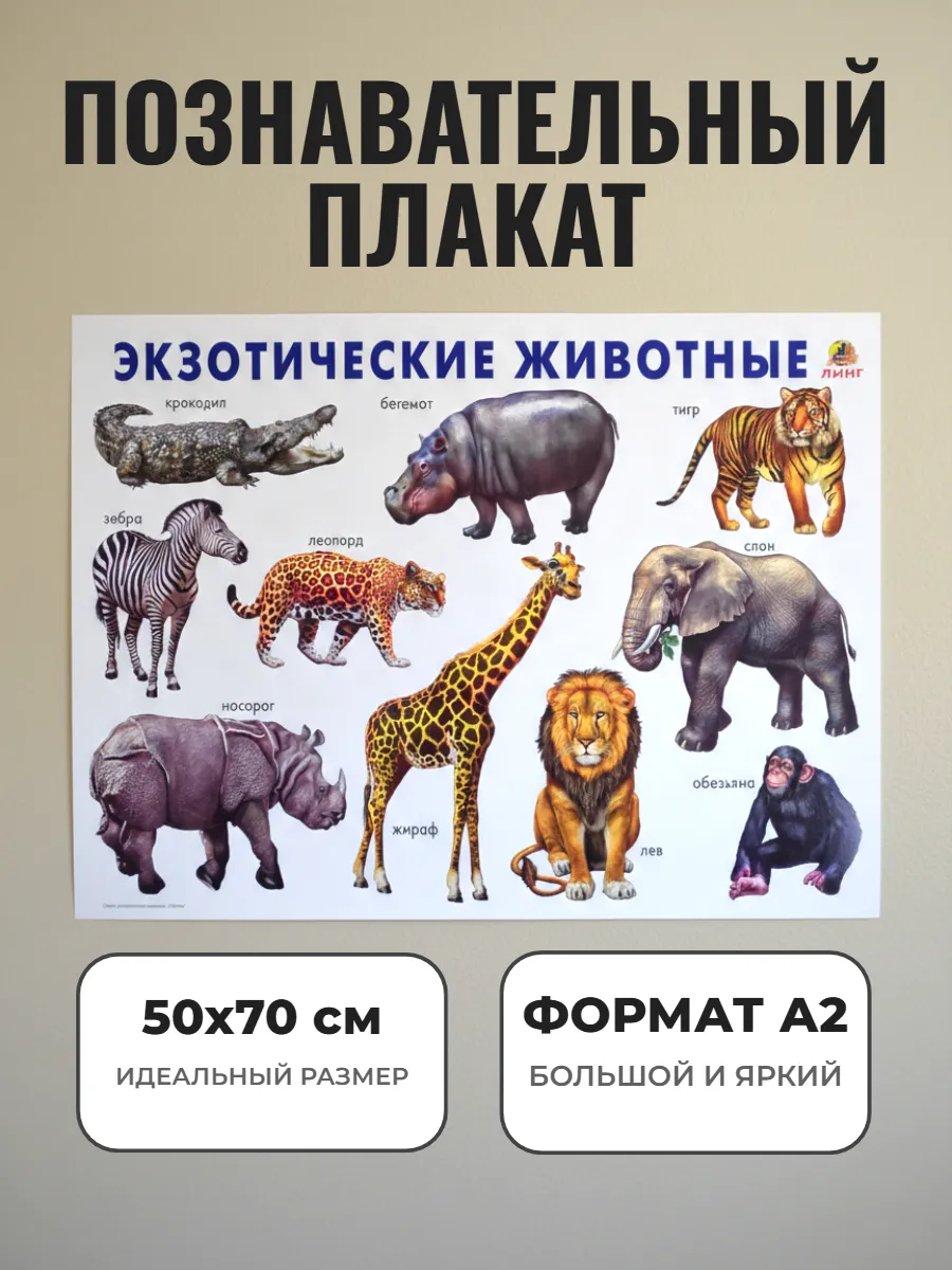 Развивающий плакат А2. Экзотические животные