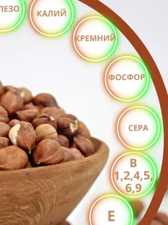 Фундук сырой 500г Hisorak nuts 237608474 купить за 432 ₽ в интернет-магазине Wildberries