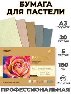 Бумага для пастели тонированная фактурная А3 MUNGYO 237610137