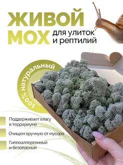 Мох ягель живой мох для улиток (100 гр )