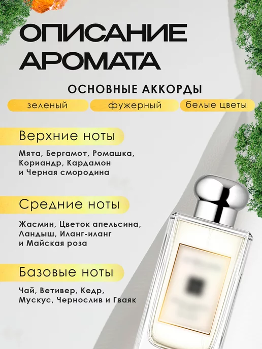 Blago Perfumes Распив духов по мотивам White Jasmine Mint, белый, фото 2