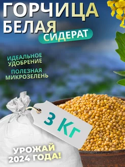 Семена горчицы для посева 3кг Фермочка 237702709 купить за 272 ₽ в интернет-магазине Wildberries