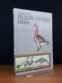 Редкие птицы мира