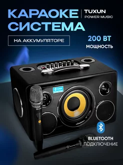 Караоке система Пауэр Мьюзик 200 Вт Tuxun 237869673 купить за 27 216 ₽ в интернет-магазине Wildberries