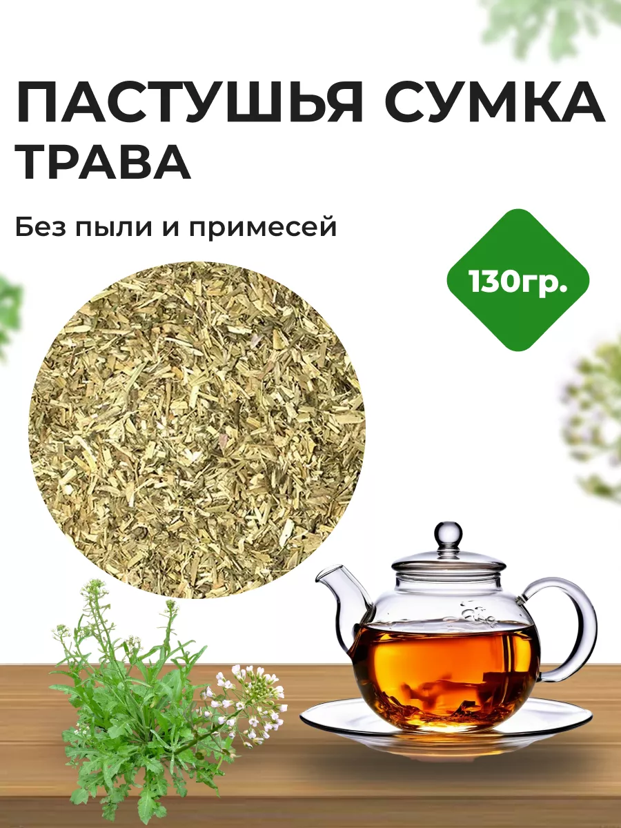 Пастушья сумка трава