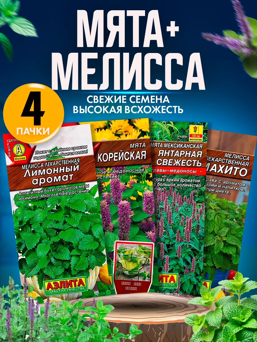 Семена мяты и мелиссы