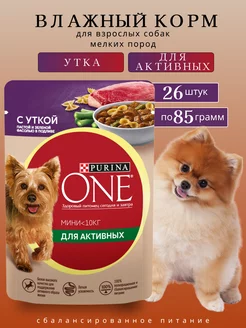 Влажный корм для собак мелких пород Purina ONE 237915015 купить за 843 ₽ в интернет-магазине Wildberries