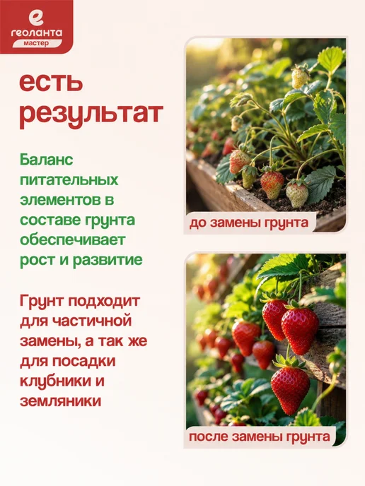Геоланта Грунт для клубники 50 литров, вариант, фото 3