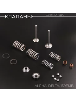 Клапаны (в сборе) 139FMB Alpha, Delta