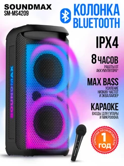 Колонка беспроводная SM-MS4209(черный), портативная Soundmax 237952241 купить за 24 783 ₽ в интернет-магазине Wildberries