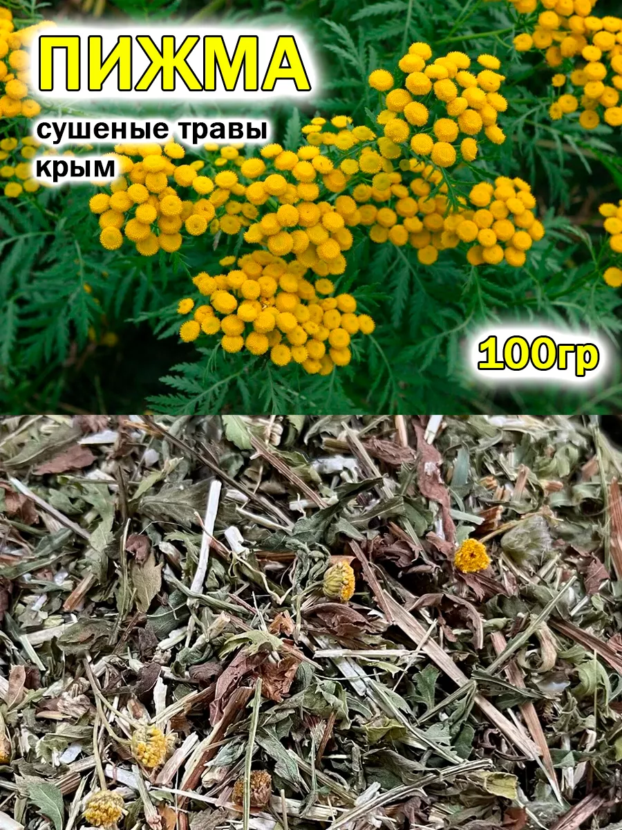 Пижма