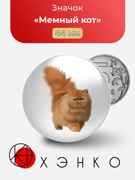 Мемный кот