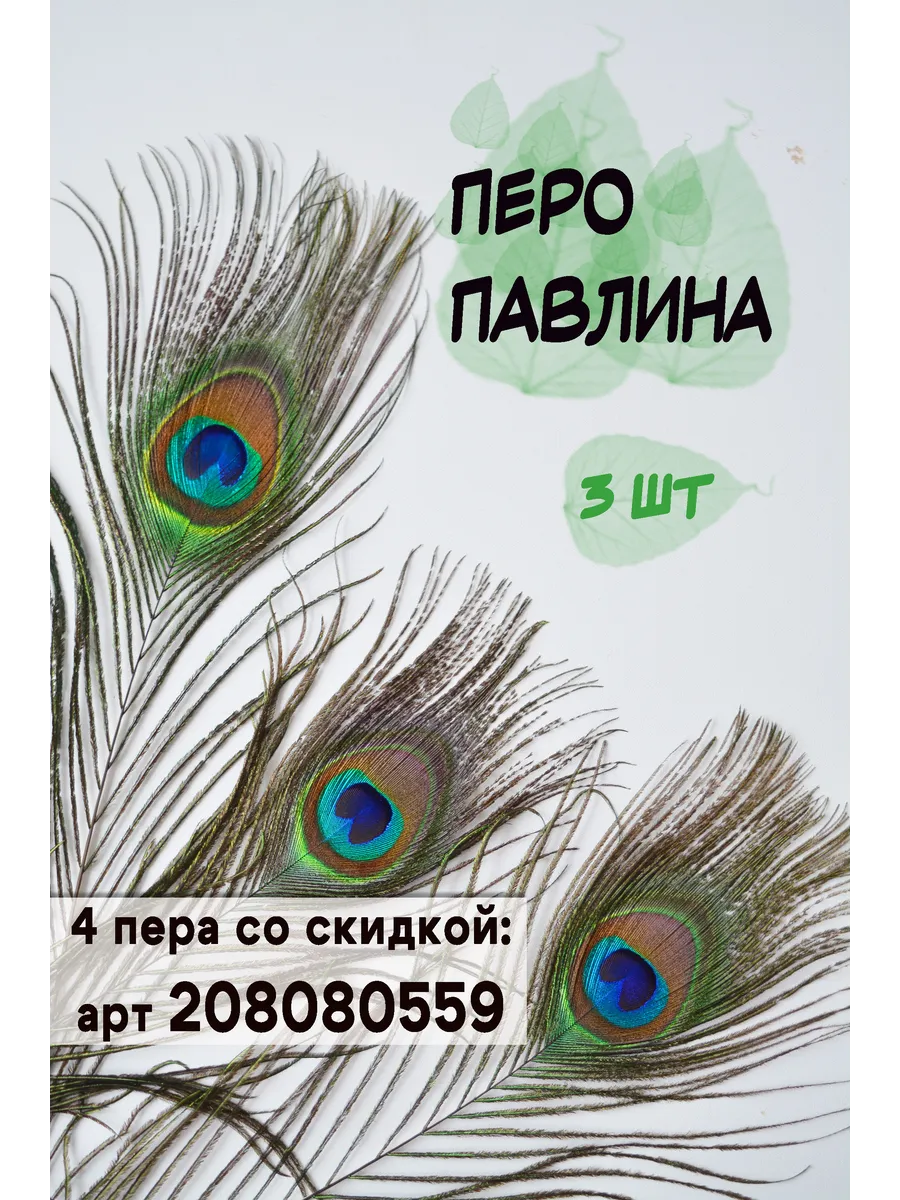 Перо павлина натуральное.