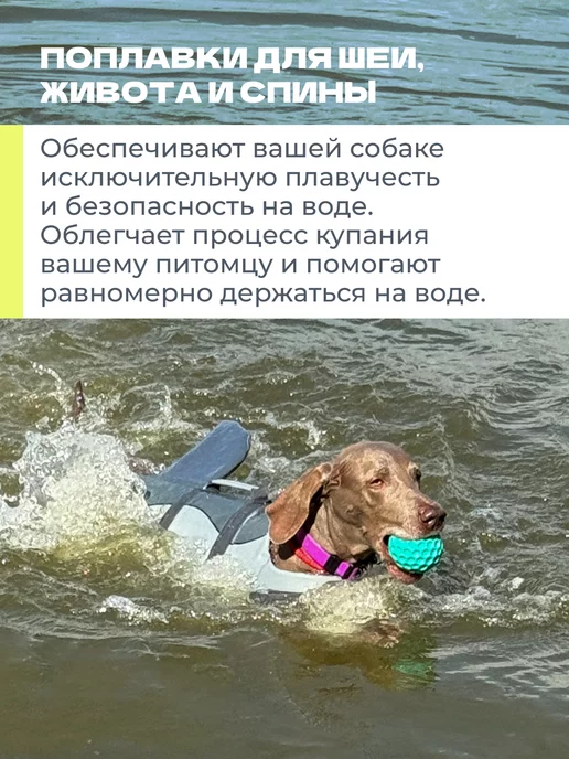 Спасательный жилет для собаки для плавания, серый, фото 6