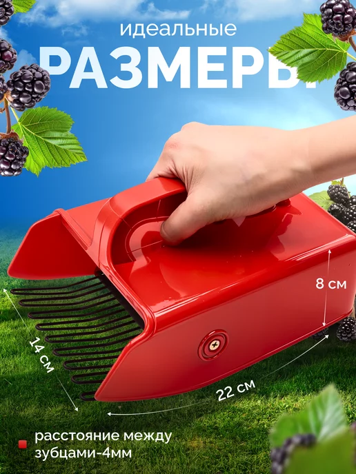 плодосъемники ягодосборник, вариант, фото 2