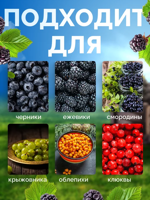 плодосъемники ягодосборник, вариант, фото 4