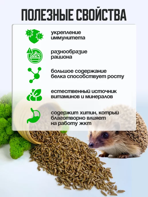 Хитрый крыс Гаммарус крупный алтайский для рыб черепах птиц 40 гр, черный, фото 3
