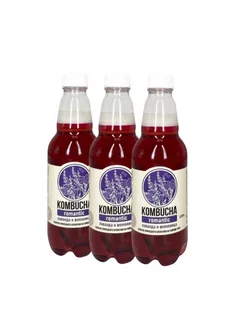 Напиток на Чайном Грибе "Лаванда и Шелковица" 0,350л 12 шт KOMBUCHA 238299538 купить за 1 360 ₽ в интернет-магазине Wildberries