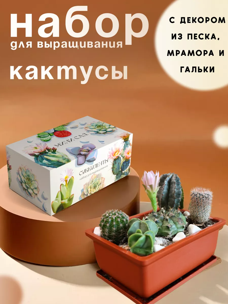 Набор для выращивания...