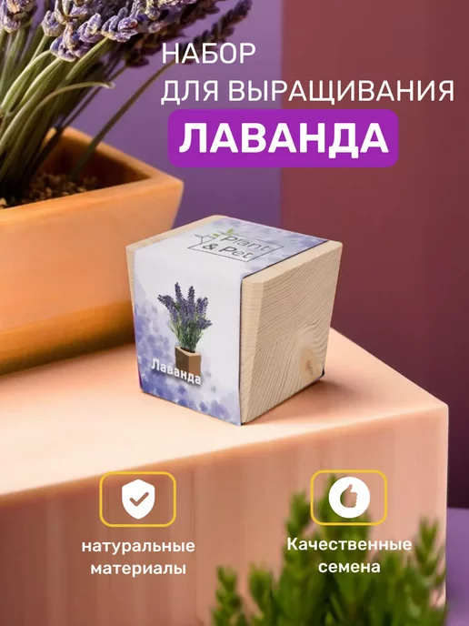 PipWood Набор для выращивания, в подарок подруге, вариант