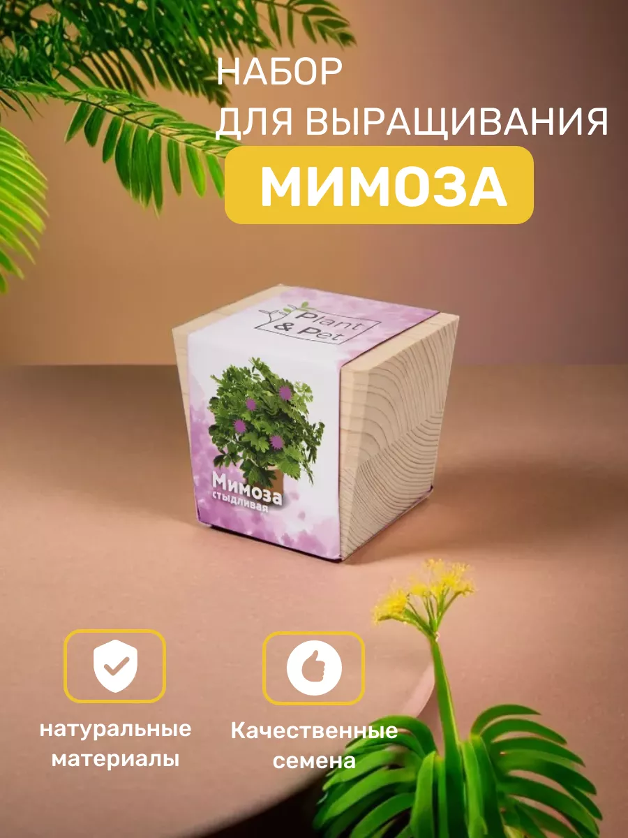 Набор для выращивания, подарок подруге