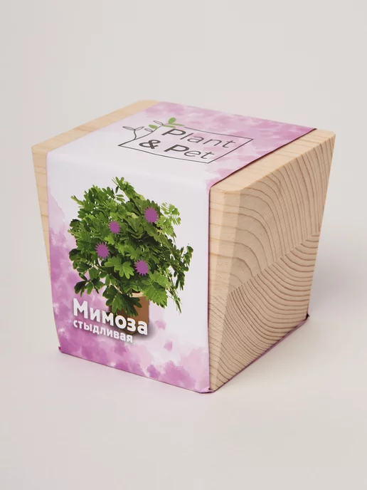 PipWood Набор для выращивания в подарок на новый год, вариант, фото 2
