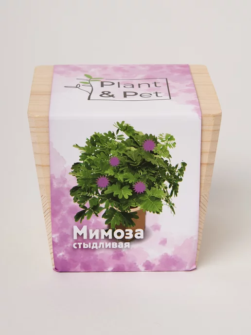 PipWood Набор для выращивания в подарок на новый год, вариант, фото 3