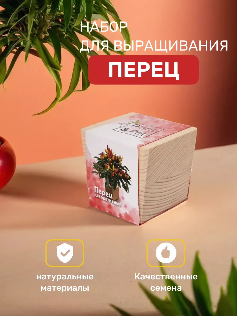 Набор для выращивания, подарок другу