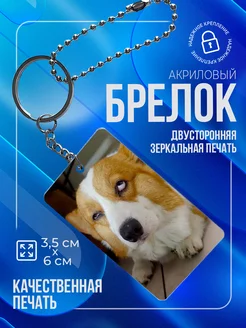 Прозрачный брелок с печатью корги