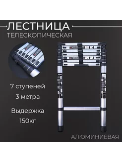 Лестница телескопическая Beezmoto 238611967 купить за 5 451 ₽ в интернет-магазине Wildberries