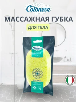 Губка для тела Cotoneve 238661840 купить за 612 ₽ в интернет-магазине Wildberries