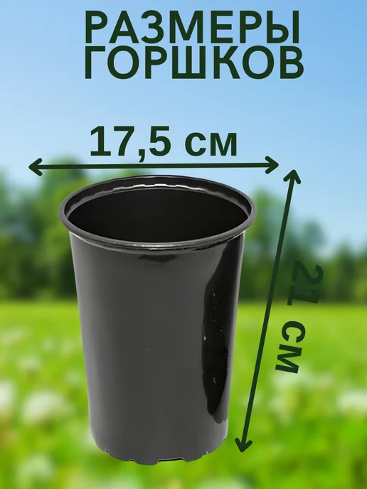 Your home&garden Горшок для рассады высокий, черный, фото 2