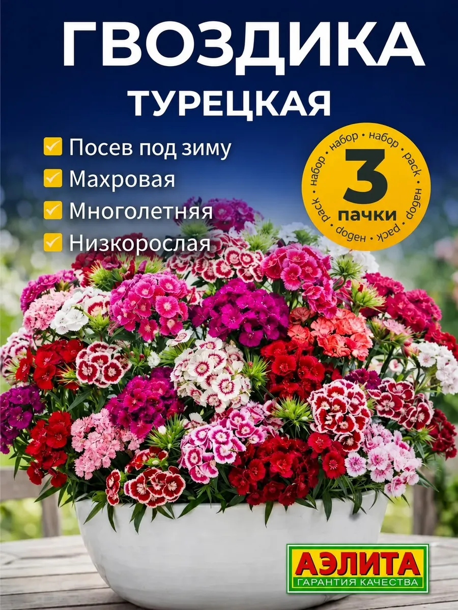 Семена цветов Гвоздика турецкая многолетняя