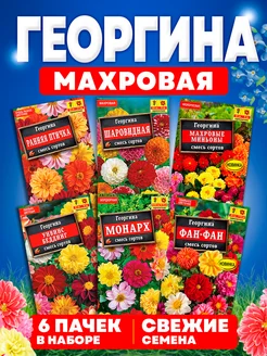 Семена цветов Георгины махровая низкорослая