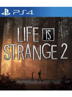 Игра Life is Strange 2 для Sony Playstation PS4 PS5