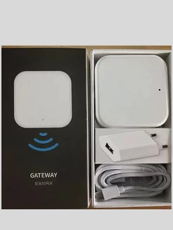 Шлюз с адаптером для дверного замка TTlock Gateway G2 Wi-Fi