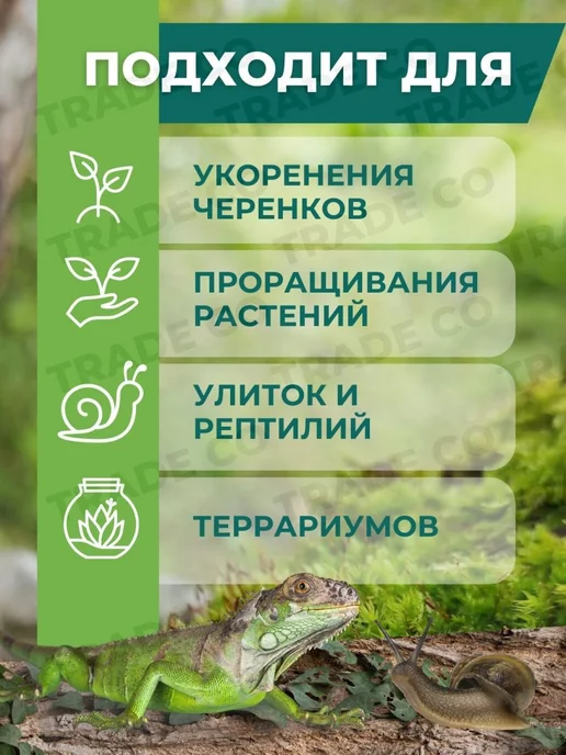 Orchimania Мох сфагнум для орхидей и улиток 6 л, 6 л, фото 2