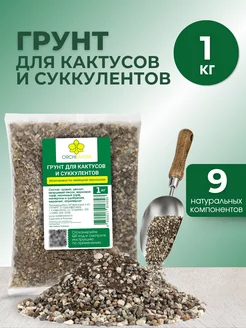 Грунт для кактусов и суккулентов 1 кг Orchimania 239062193 купить за 255 ₽ в интернет-магазине Wildberries