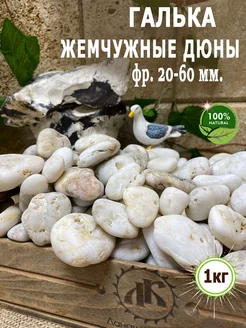 Набор-Камушки "Жемчужные Дюны" фр.20-60 1кг