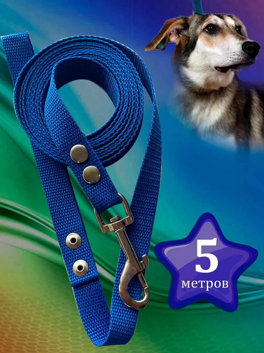 Поводок нейлоновый синий для собак 5 метра *20мм
