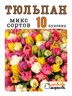 Тюльпан Луковица, Микс сортов, 10 шт (Любовь морковь)